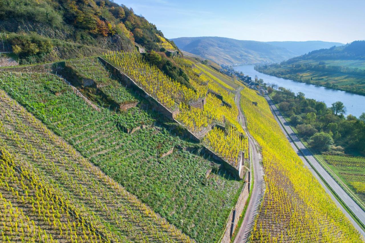 Das Haus In Spay An Der Mosel Mit Sauna Zell an der Mosel Dış mekan fotoğraf